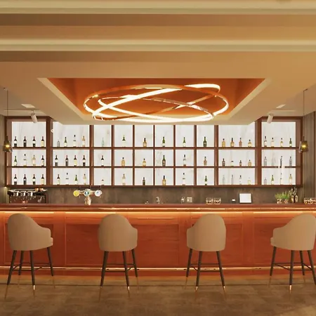 丽笙布鲁什切青酒店 酒店